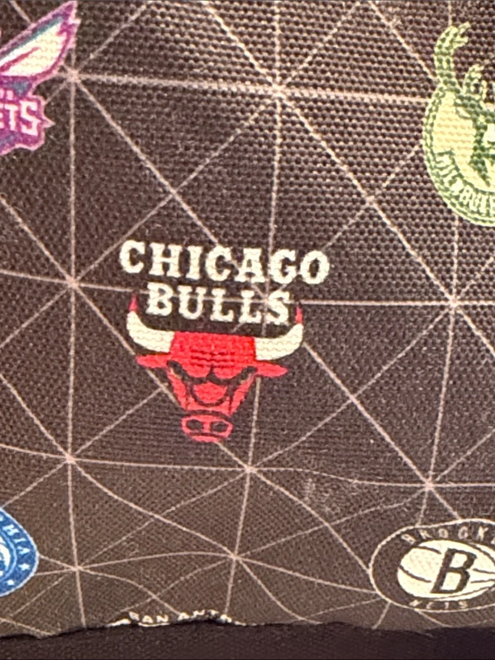 B20 Pottery Barn NBA Backpack GUC